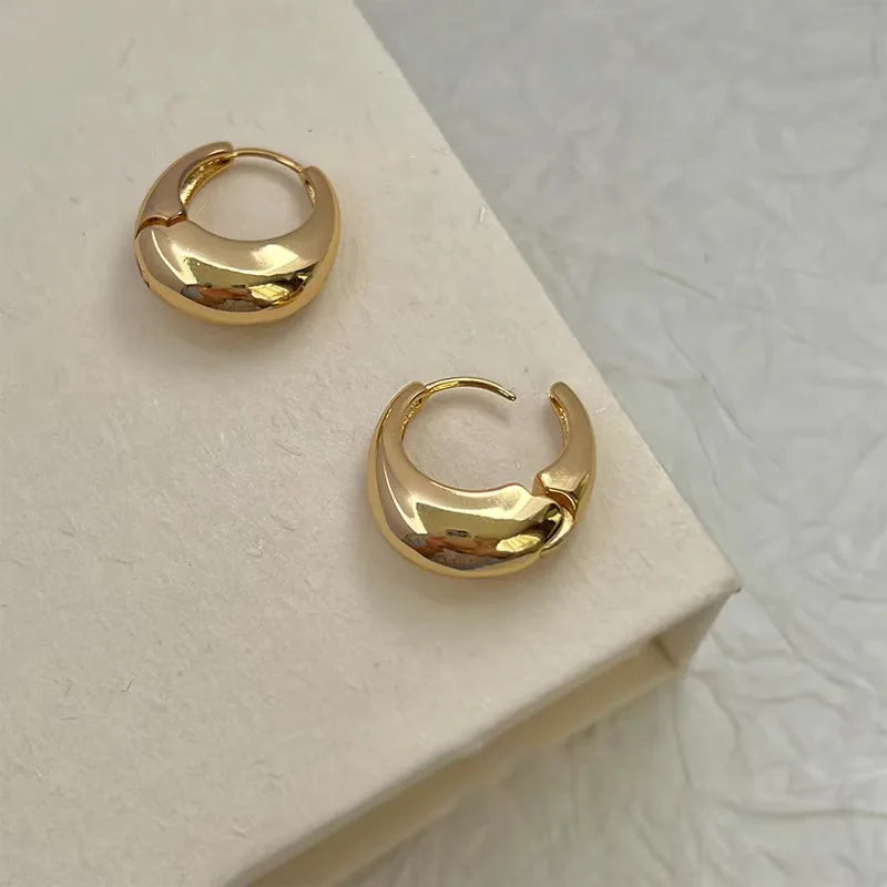 2024 Korean New Classic Gold Color Plated Metal Hoop Earrings For Women Fashion Jewelry Temperament Girls Daily Wear earrings